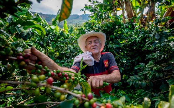 Cafetero local de Oaxaca
